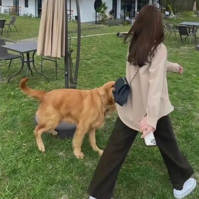 水牛骑士